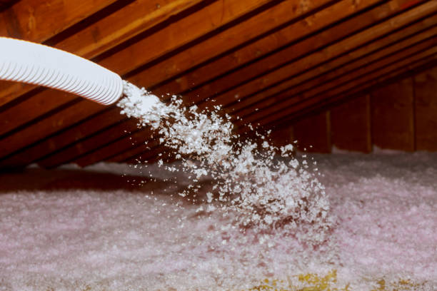 Best Insulation Repair Services  in North Richmond, CA