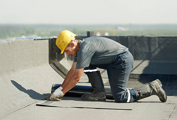 Best Insulation Removal  in North Richmond, CA