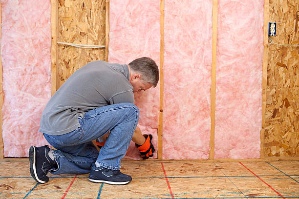 Best Fiberglass Insulation  in North Richmond, CA